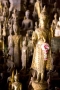 Buddhas, Laos