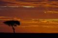 Sunrise #1, Kenya