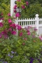 Mackinac Grand Garden #1,  MI