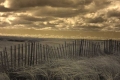 Cape Cod Infrared, MA