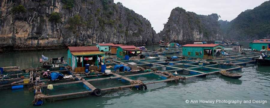 Ha Long Bay Floating Houses, Vietnam