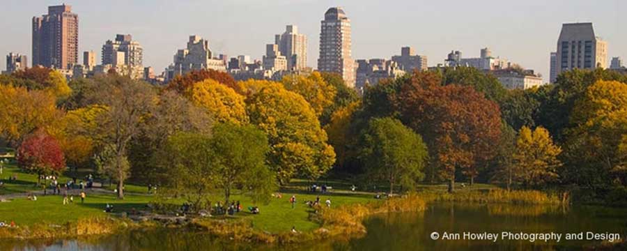 Central Park Reflection, New York City